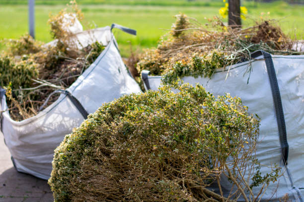 Attic Cleanout Services in Belleair Bluffs, FL